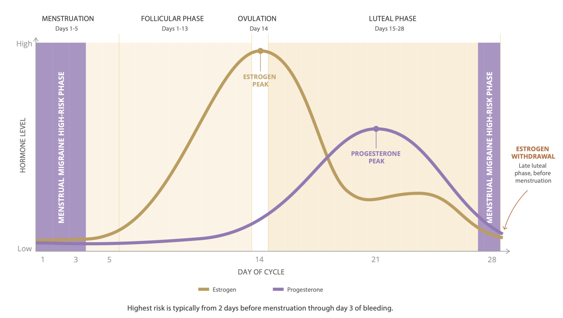 Chart showing estrogen and progesterone levels across a 28-day menstrual cycle, with menstrual migraine high-risk phases marked around days 1 to 3 and before menstruation.